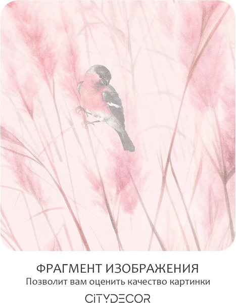 Изображение товара Фотообои листовые Citydecor Невесомость 44 (200x140см)