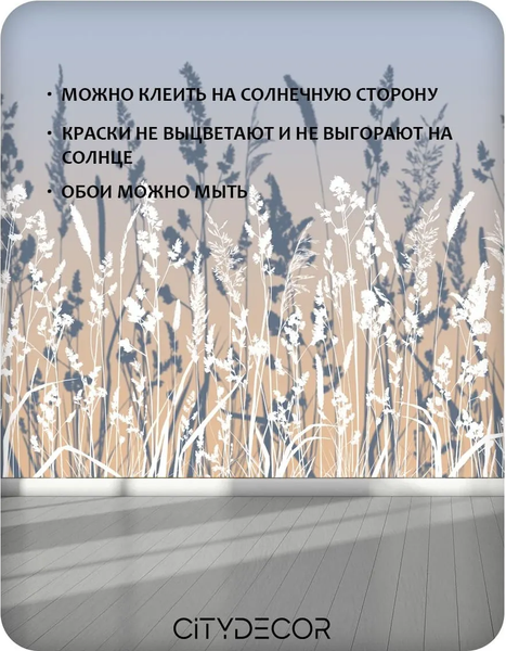 Изображение товара Фотообои листовые Citydecor Невесомость 46 (100x260см)