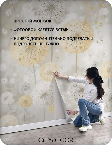Изображение товара Фотообои листовые Citydecor Невесомость 47 (500x260см)