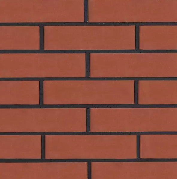 Изображение товара Кирпич пустотелый РуБелЭко гладкий 250x120x65мм / КСПГ4-Ф (клинкер)