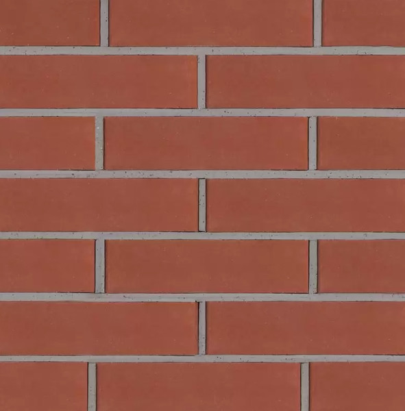 Изображение товара Кирпич пустотелый РуБелЭко гладкий 250x120x65мм / КСПГ4-Ф (клинкер)