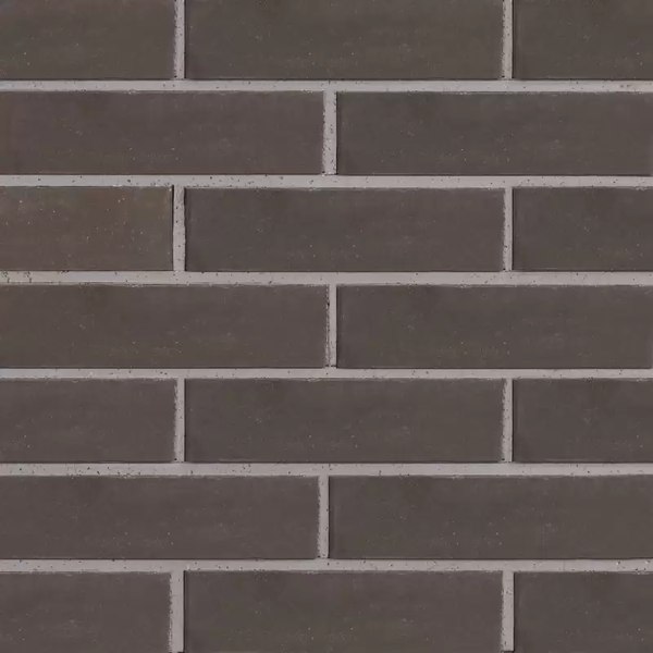 Изображение товара Кирпич пустотелый РуБелЭко гладкий 250x120x65мм / КСПГ6-Ф (графит)