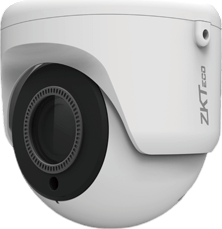 Изображение товара IP-камера Temid EL-854N38I-E3