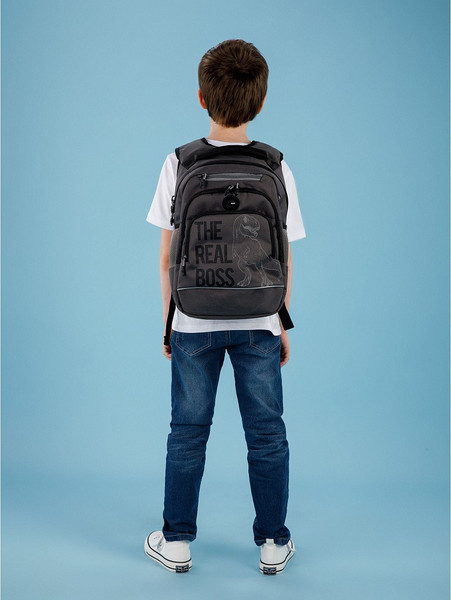 Изображение товара Школьный рюкзак Grizzly RB-450-3f (серый)