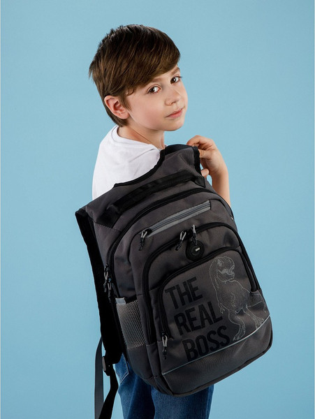 Изображение товара Школьный рюкзак Grizzly RB-450-3f (серый)