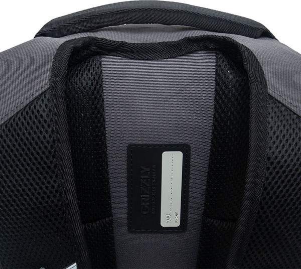 Изображение товара Школьный рюкзак Grizzly RB-450-3f (серый)