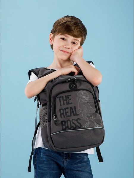 Изображение товара Школьный рюкзак Grizzly RB-450-3f (серый)