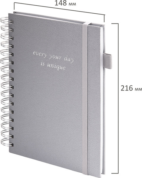 Изображение товара Тетрадь Brauberg Calipso / 116253 (80л, серый)