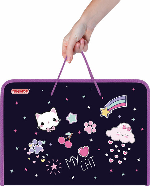 Изображение товара Папка для труда Пифагор Leapfrog / 273388