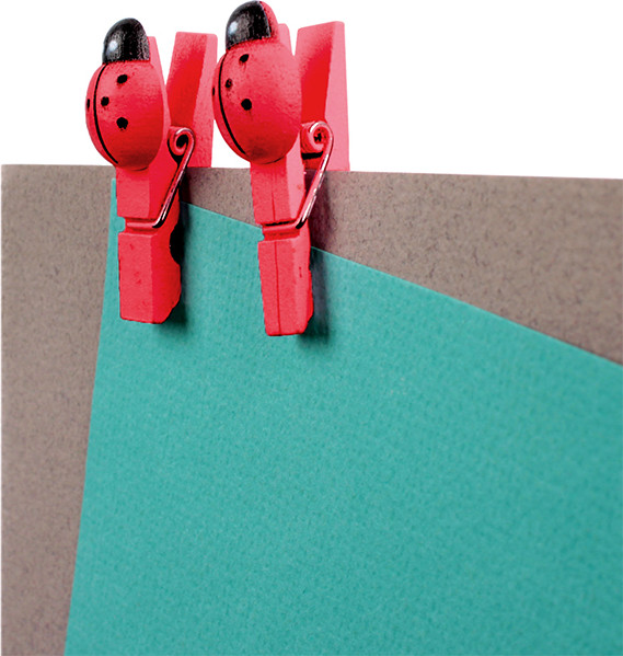 Изображение товара Набор прищепок декоративных Darvish Божья коровка / DV-H-1795-1 (10шт, красный)