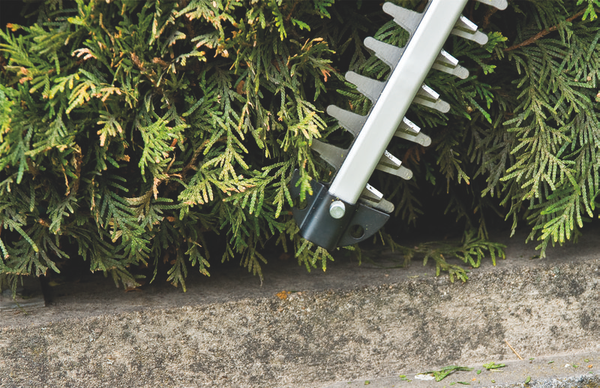 Изображение товара Кусторез аккумуляторный Einhell GC-CH 1855/1 Li Kit / 3410506