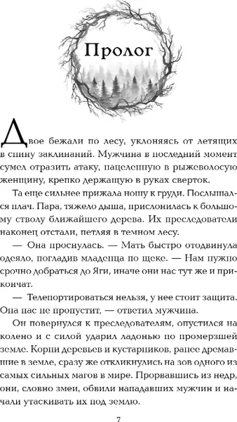 Изображение товара Художественная книга FreeDom Темное отражение, твердая обложка (Волошина Елизавета)
