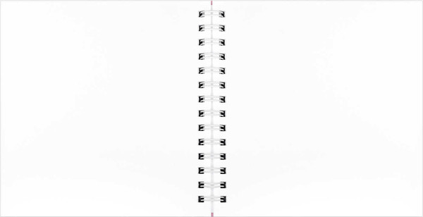 Изображение товара Скетчбук Феникс+ Котенок меломан / 71627