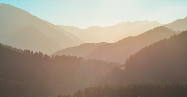 Изображение товара Фотообои листовые Citydecor Природа 147 (500x260см)