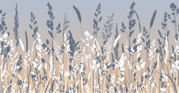 Изображение товара Фотообои листовые Citydecor Невесомость 46 (500x260см)