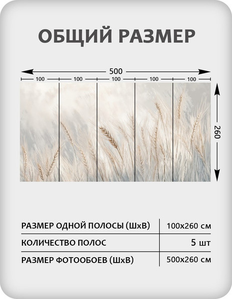 Изображение товара Фотообои листовые Citydecor Невесомость 45 (500x260см)