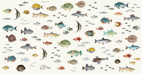 Изображение товара Фотообои листовые Citydecor Dreamy 3 (500x260см)