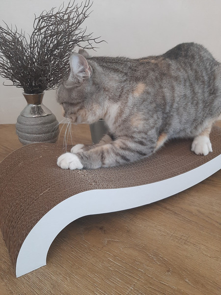 Изображение товара Когтеточка Cat House Мостик М