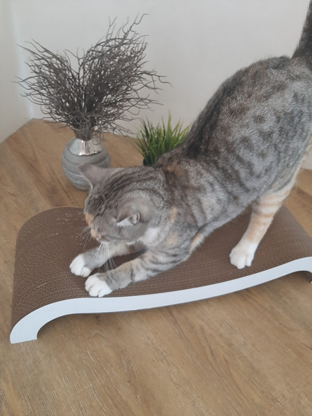 Изображение товара Когтеточка Cat House Мостик М