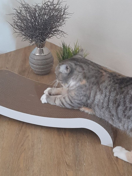 Изображение товара Когтеточка Cat House Мостик L