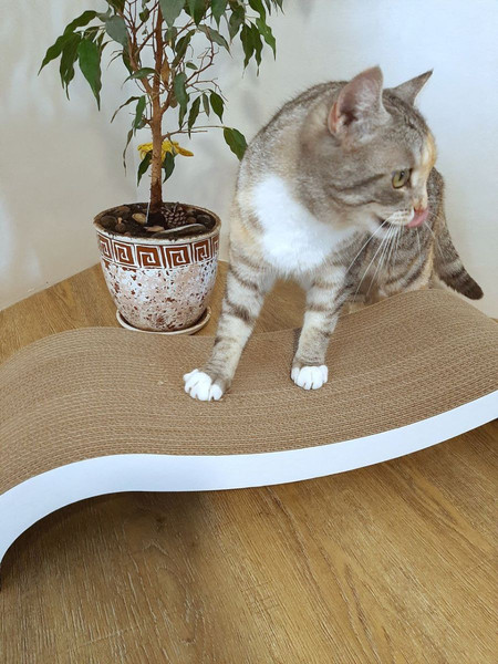 Изображение товара Когтеточка Cat House Мостик L