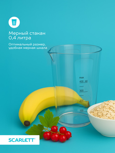 Изображение товара Блендер погружной Scarlett SC-HB42F87 (сталь)