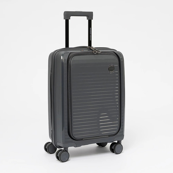 Изображение товара Чемодан на колесах Francesco Molinary 344-PP31/2-20DGR (серый)