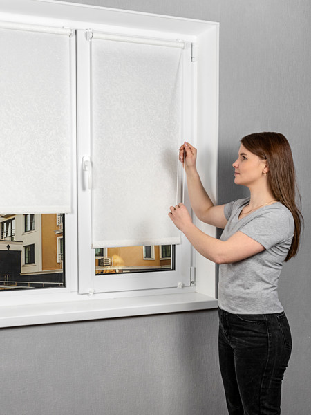 Изображение товара Рулонная штора Lm Decor Жаккард LM 66-01 67x160 (белый)