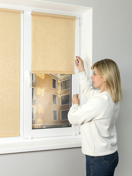 Изображение товара Рулонная штора Lm Decor Жаккард LM 66-04 52x160 (бежевый)