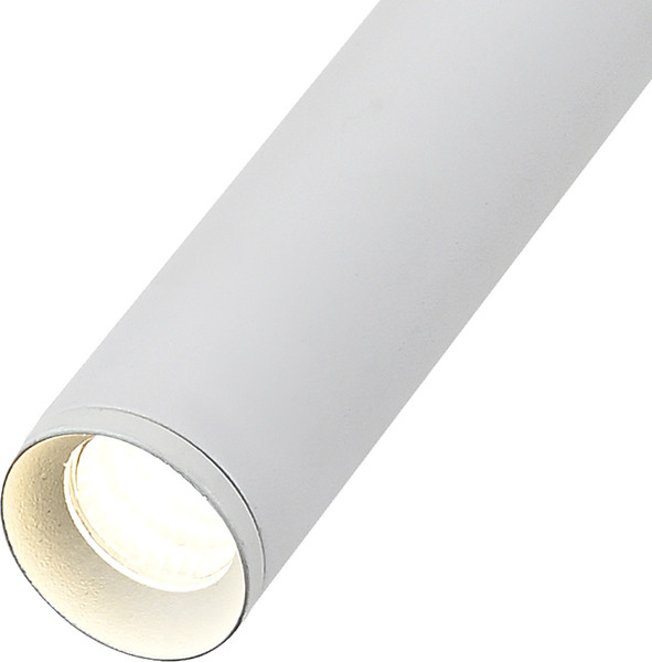 Изображение товара Потолочный светильник ESCADA 10275/1LED (белый)