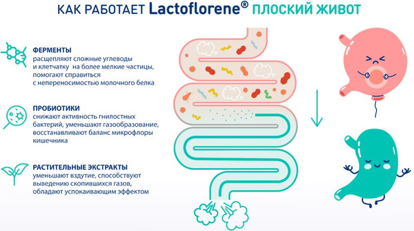Изображение товара Комплексная пищевая добавка Lactoflorene Плоский живот (20 пакетиков)