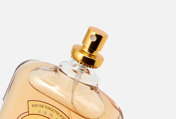 Изображение товара Туалетная вода Delta Parfum Classic (100мл)