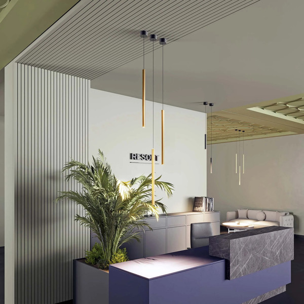 Изображение товара Потолочный светильник Arlight SP-PIPE-HANG-L600-R30-9W Day4000 GD 24deg / 038643