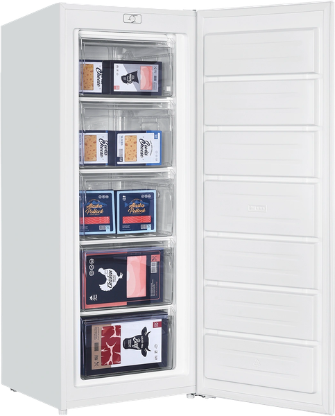 Изображение товара Морозильник TECHNO DD1-21N