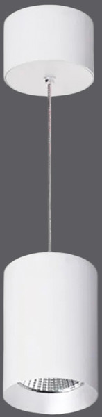 Изображение товара Потолочный светильник Arlight SP-POLO-R85-2-15W Day White 40deg White White Ring / 022948