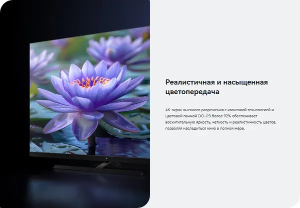 Изображение товара Телевизор Viomi 65’’ YMD65C