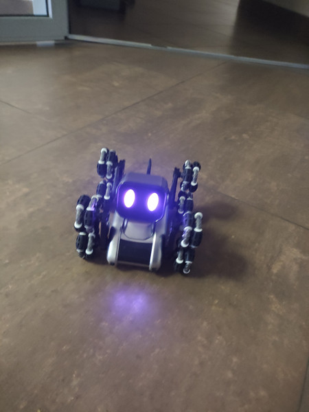 Изображение товара Радиоуправляемая игрушка Sundays Robo Машинка 8 колесная (собака)