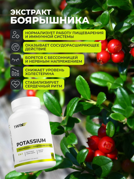 Изображение товара Пищевая добавка 1WIN Калий, магний и экстракт боярышника (120 капсул)
