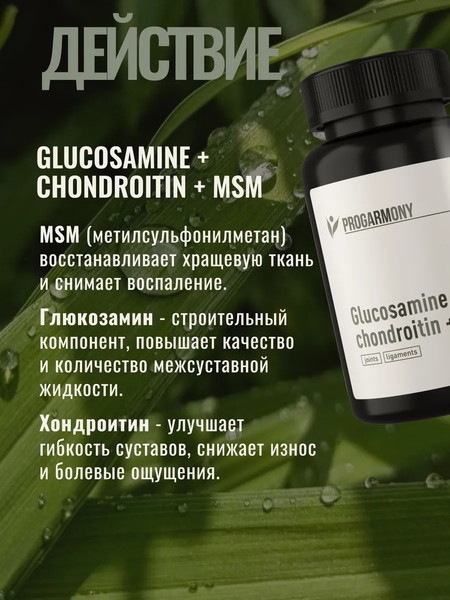 Изображение товара Комплексная пищевая добавка Progarmony Глюкозамин Хондроитин MSM (90 капсул)