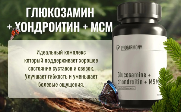 Изображение товара Комплексная пищевая добавка Progarmony Глюкозамин Хондроитин MSM (90 капсул)