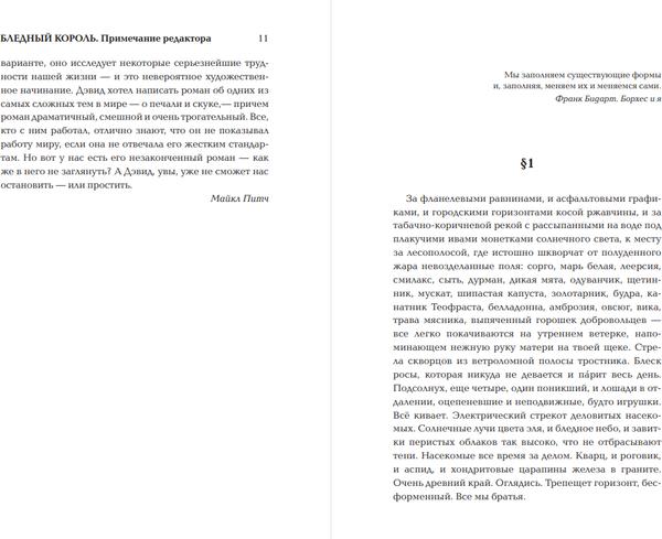 Изображение товара Книга АСТ Бледный король, твердая обложка (Уоллес Дэвид)