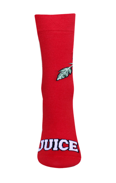 Изображение товара Носки Брестские Sockdrink 4200 рис. 266 (р.36-39, красный)