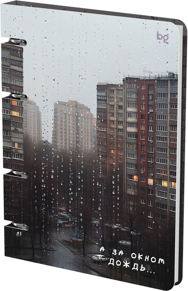 Изображение товара Тетрадь BG За окном / ТК5к120_лм_вл 57860 (120л)