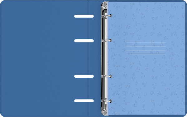 Изображение товара Тетрадь BG Цветочки / ТК5к120_лм_тф 57848 (120л)