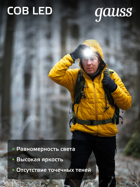 Изображение товара Фонарь Gauss GFL409 / GF409
