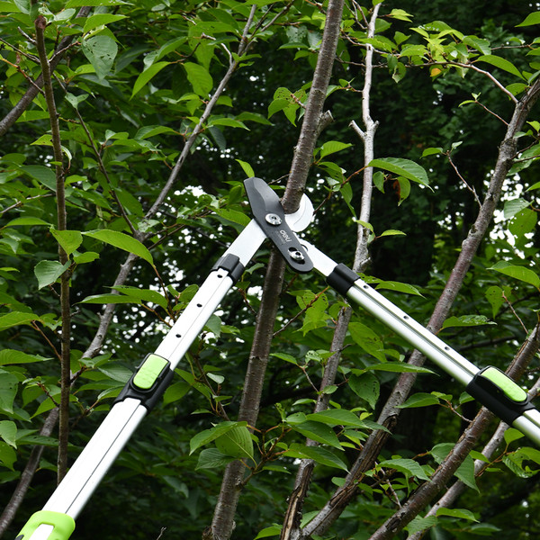 Изображение товара Сучкорез механический Deli Телескопический усиленный GS EDL580423 (630-870мм, черный/зеленый)