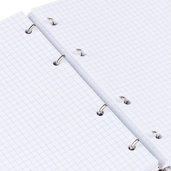 Изображение товара Тетрадь BG Васильковое настроение / ТТ5к240_лм 11380 (240л)