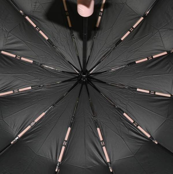 Изображение товара Зонт складной Ame Yoke ОК55-12DR (белый)