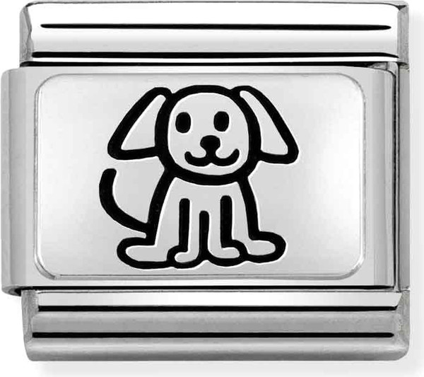 Изображение товара Звено для браслета NominatioN 330109/52