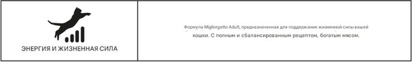 Изображение товара Влажный корм для кошек Miglior Gatto Паштет с лососем и тунцом (400г)